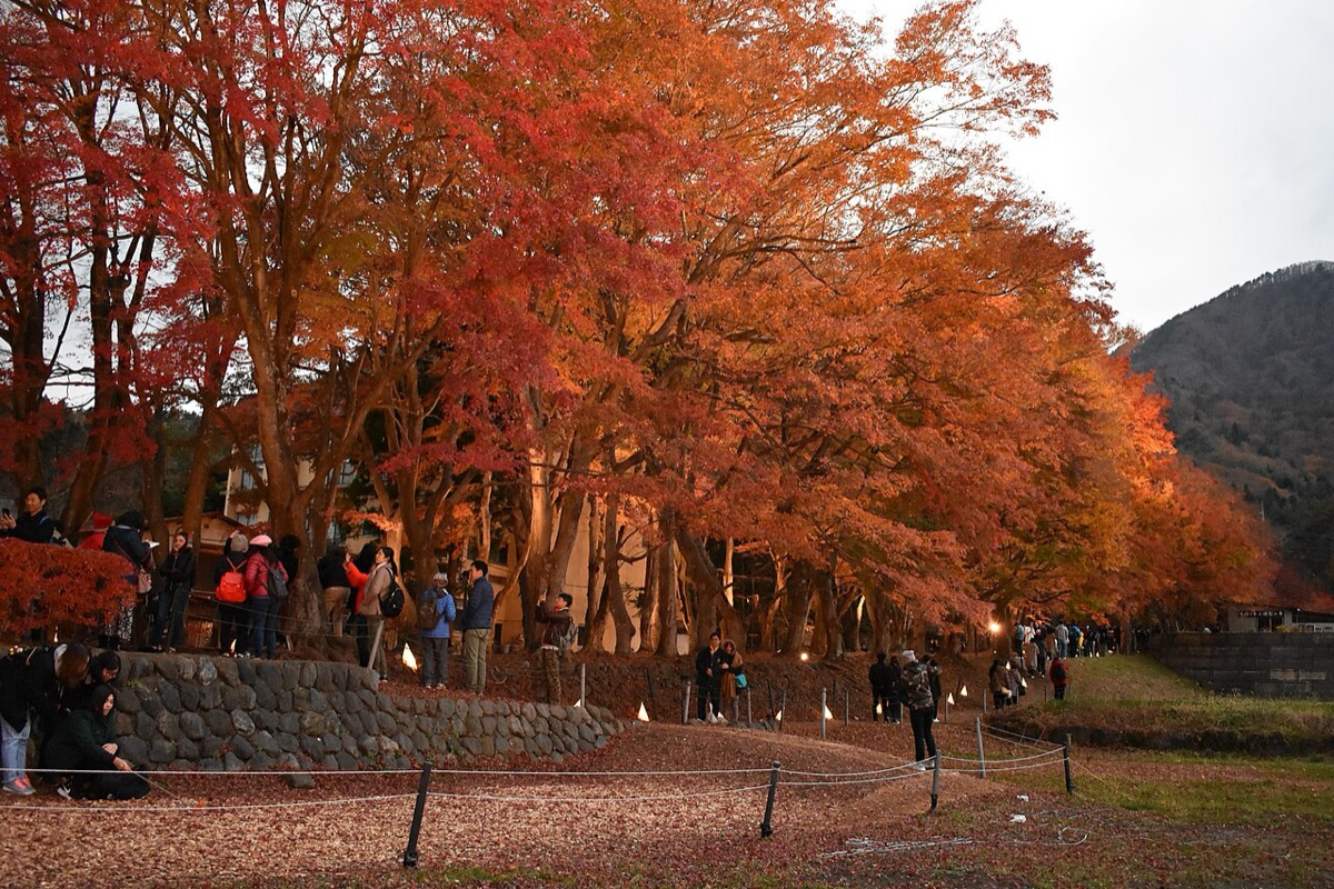 富士河口湖紅葉まつり