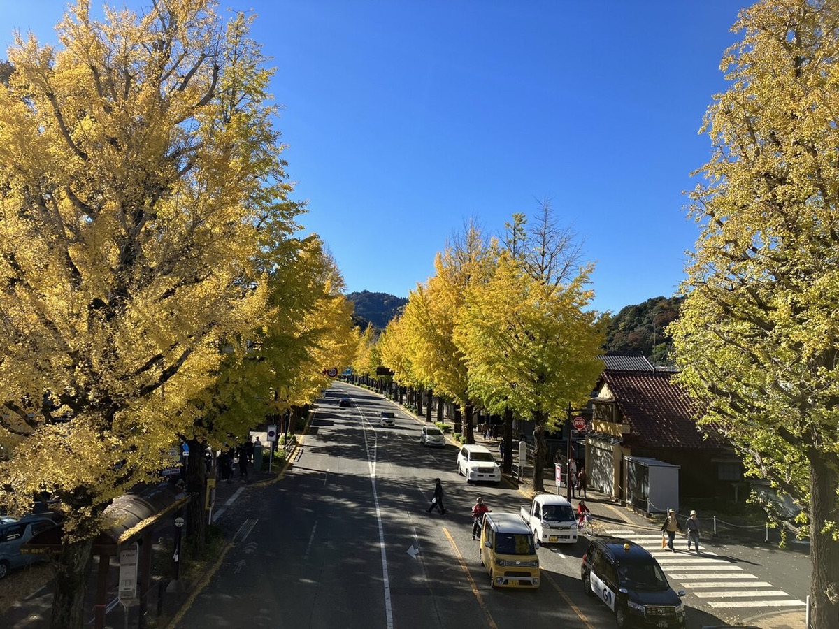 八王子いちょう祭り
