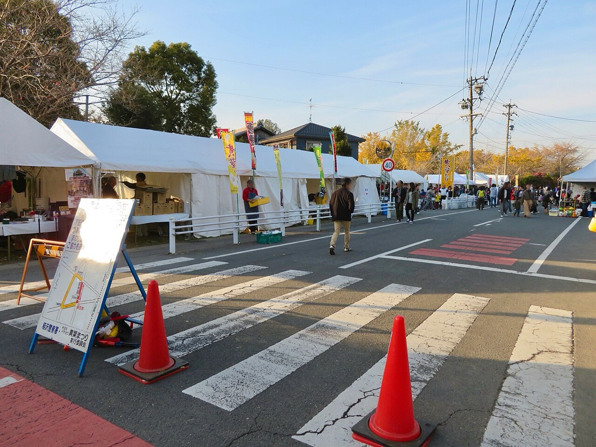 Sobue Ginkgo Festival