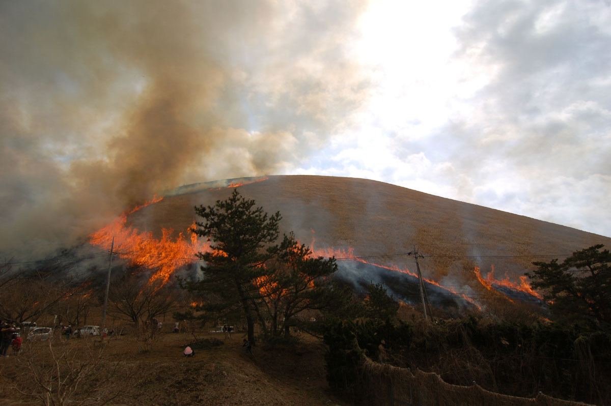 大室山山焼き