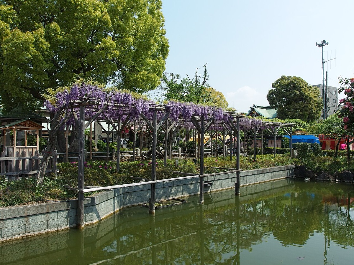 Kameido Tenjin Shrine Wisteria Festival