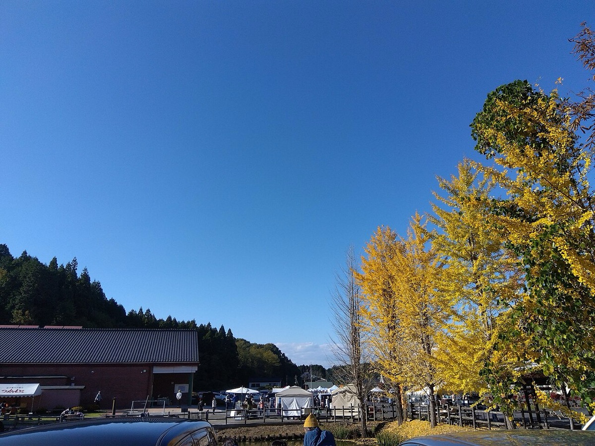益子秋の陶器市