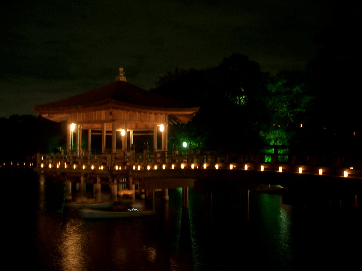 Nara Tokae (Candlelight Festival)